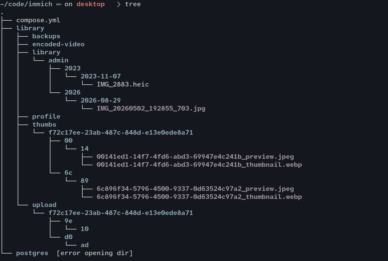 a screenshot of the filepaths shown by the character bid successful the Immich setup